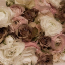 PokéCom Ơƒƒicial Discord server icon