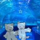 bugtopia Discord server icon