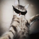 ≽^• ˕ • ྀི≼ Geek squad Discord server icon