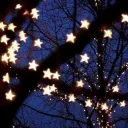 ⭐💫Starlit Sanctuary💫⭐
