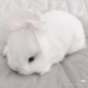 bunsie Ი⑅𐑼 Discord server icon