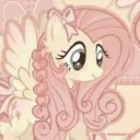 🌺　ノfluttershy　clb　୨୧