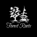 Forest Roots
