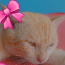 ꧁𝙏𝙚𝙖 𝙥𝙖𝙧𝙩𝙮꧂ Discord server icon