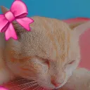 ꧁𝙏𝙚𝙖 𝙥𝙖𝙧𝙩𝙮꧂