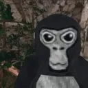 just chat server