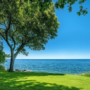 Humans Discord server icon