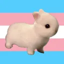 [ #30 ]Trans Bunny Girls [NAE/EU]