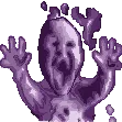 Boscolives