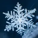 ❅ 𝗬𝗨𝗞𝗜 ❅