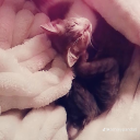 MAIN SERVER🎁🌻 Discord server icon