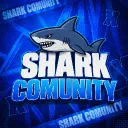 Shark Comunity 🦈 | #400