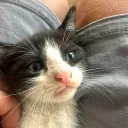 Snuggling my Augustus