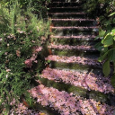 🌸PastelBlush Cafe🌸 Discord server icon