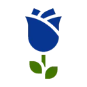 Blue Roses I Worldwide