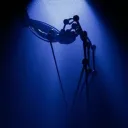 "𝒯𝒽𝑒 𝒽𝑜𝓊𝓇 𝑜𝒻 𝒿𝑜𝓎"