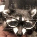 Maddiee's Petsitting server! discord icon