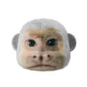 Chimpez