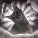 lunacat reseller service