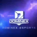 DOMINEX ESPORTS 🇮🇳
