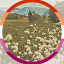 ctn. Discord server icon