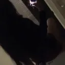 Just Luna Discord Server Icon