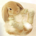 /yumehop ☘ Discord server icon