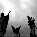 𝑹𝒐𝒔𝒆 𝑮𝒂𝒓𝒅𝒆𝒏𝒔 𝑰𝒏𝒄𝒐𝒓𝒑𝒐𝒓𝒂𝒕𝒆𝒅 Discord server icon