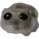 Psychiatryk