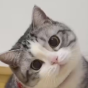 Silly server ཐི⋆♱⋆ཋྀ Discord server icon