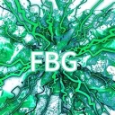 FBG (FULLY  BOY GANG)