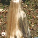 Naughty Touch  Discord Server Icon