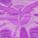 Xenausun