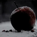 Bitter Apple Records (18+)