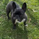 nook me Discord Server Icon