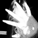 Social Kingdom Discord server icon