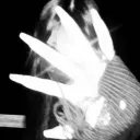 Social Kingdom Discord Server Icon