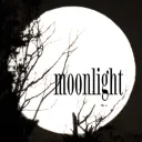 moonlight