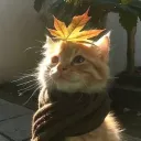 ⋆⁺₊⋆ 𝐘𝐚𝐩𝐩𝐢𝐧𝐠 𝐀𝐬𝐲𝐥𝐮𝐦 ⋆⁺₊⋆ ☁