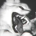 𝔰𝔱𝔞𝔶𝔤𝔯𝔞𝔳𝔢 server icon