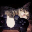 vistia │ Gaming & Cats Discord Server Icon