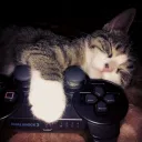 𝚟𝚒𝚜𝚝𝚒𝚊 │ Gaming & Cats