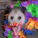 Opossumtrot Carnival