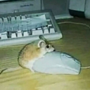 Internet links collect Discord server icon