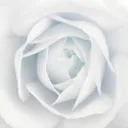 𝕋𝕙𝕖 𝔻𝕚𝕧𝕚𝕕𝕖 𝔹𝕪 ℤ𝕖𝕣𝕠 𝕄𝕒𝕣𝕜𝕖𝕥𝕚𝕟𝕘 𝕊𝕖𝕣𝕧𝕖𝕣