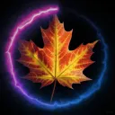 maple