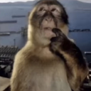 ⛧·∘∘·★ Noc†urnε ★·∘∘·⛧ Discord server icon