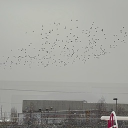 Ink-credible Commissions Discord server icon