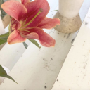 ✦⃝ U.V Advert ╰☆☆╮ Discord server icon