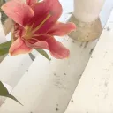  U.V Advert ╰╮ Discord Server Icon